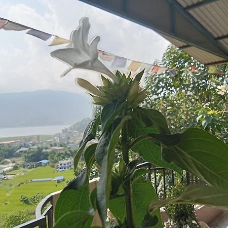 Gautam Garden Guest House 博卡拉 外观 照片