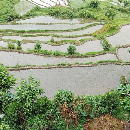 Gautam Garden Guest House 博卡拉 外观 照片