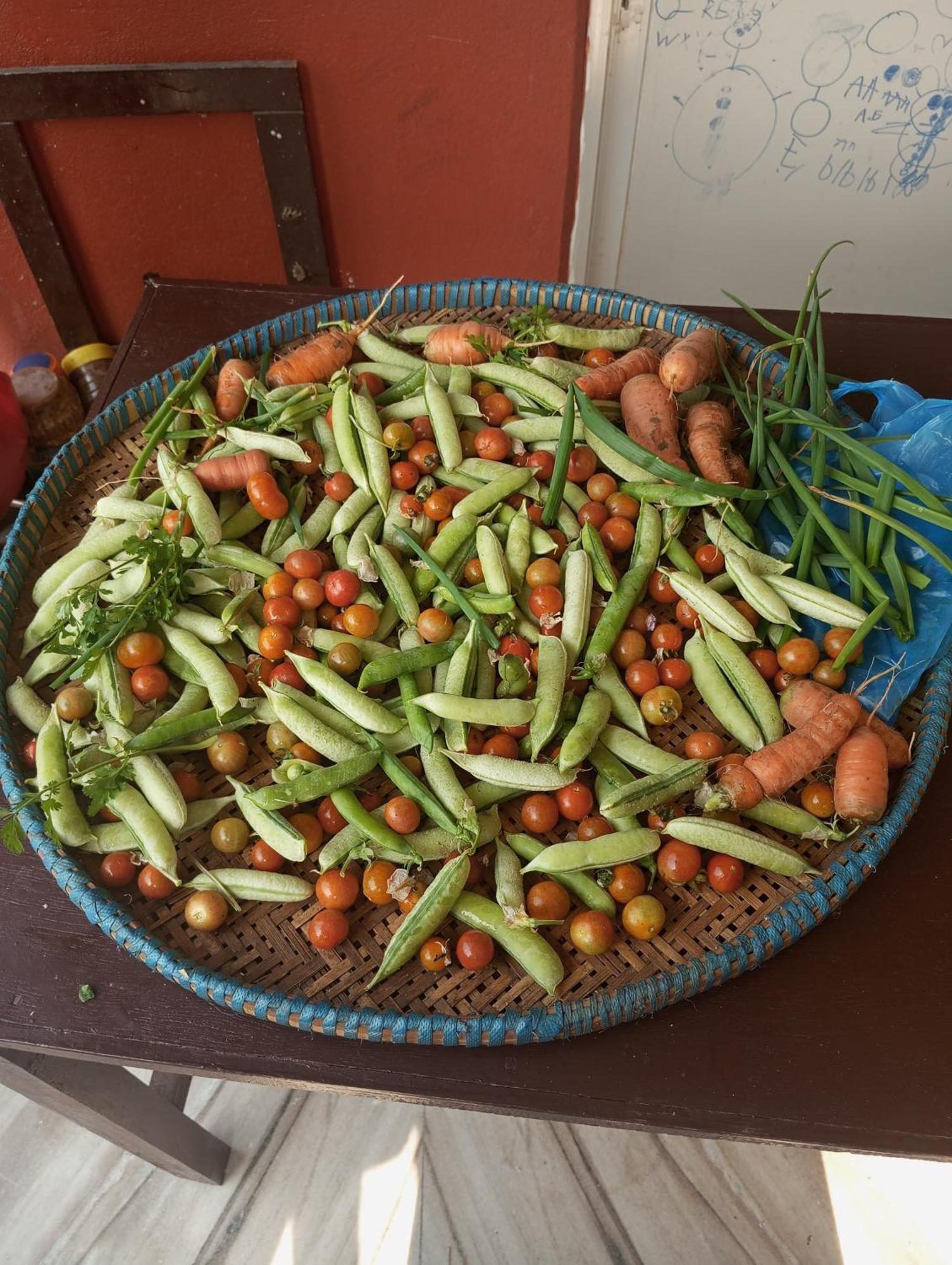 Gautam Garden Guest House 博卡拉 外观 照片