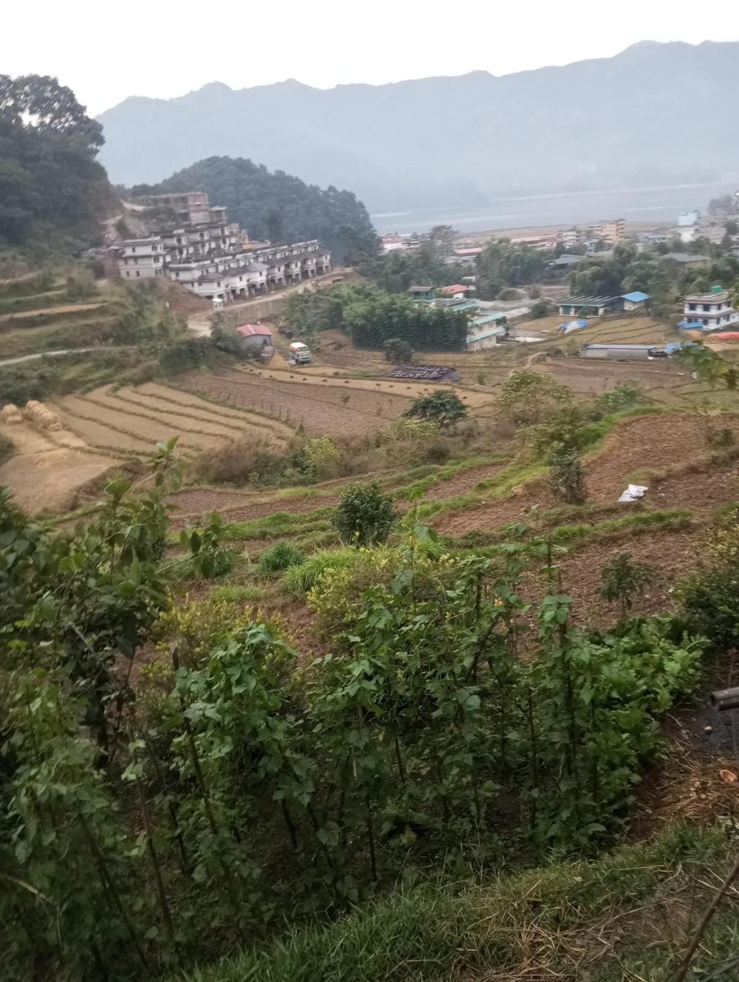 Gautam Garden Guest House 博卡拉 外观 照片
