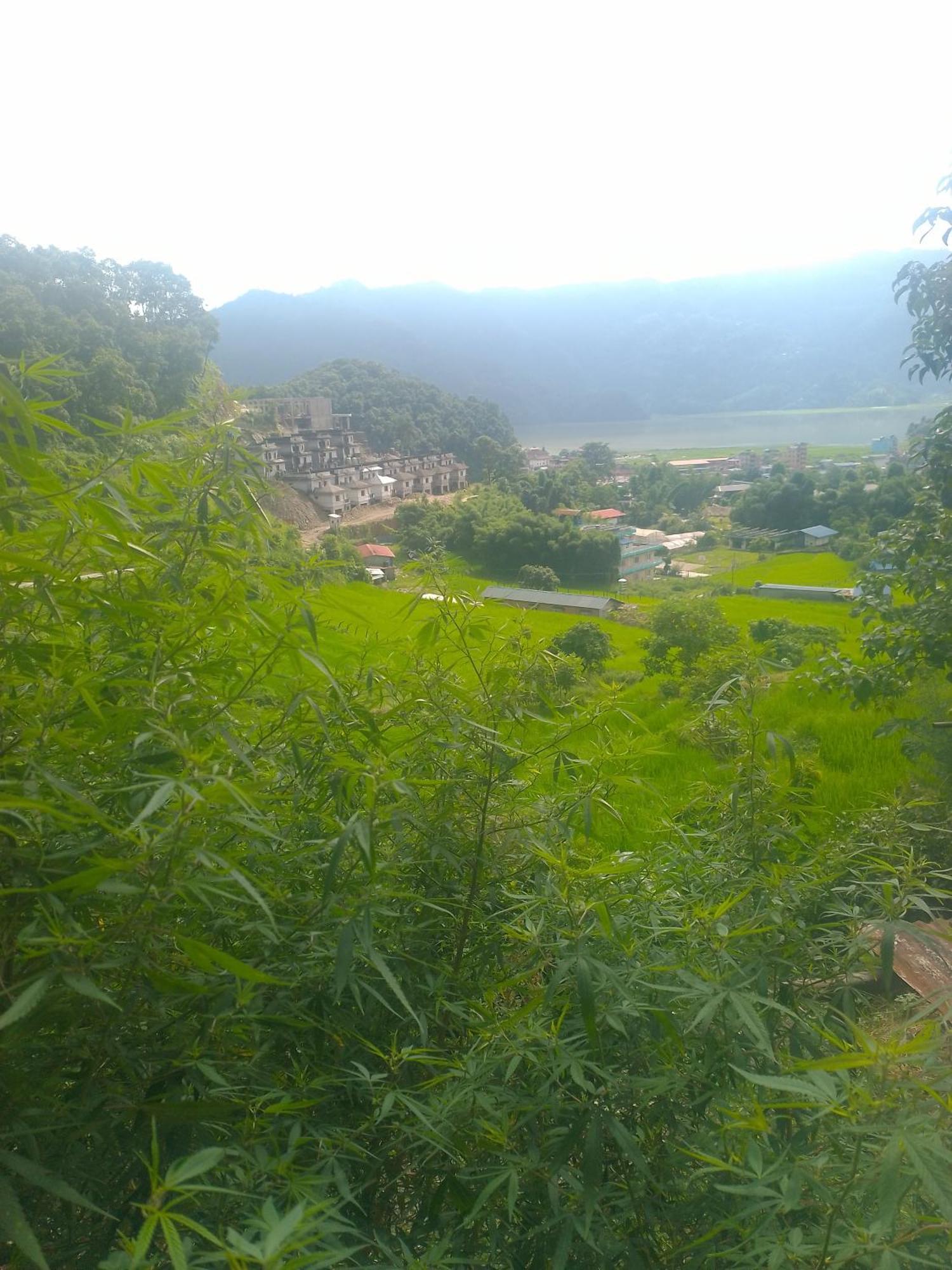 Gautam Garden Guest House 博卡拉 外观 照片